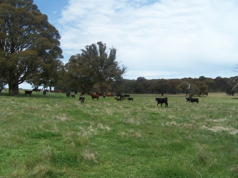 Lot 2 Taralga Road, Taralga NSW 2580