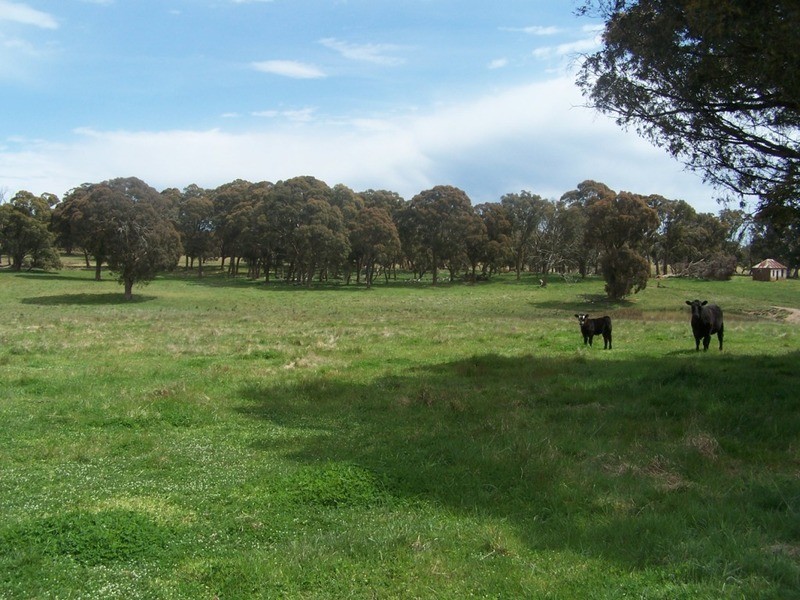 Lot 2 Taralga Road, Taralga NSW 2580