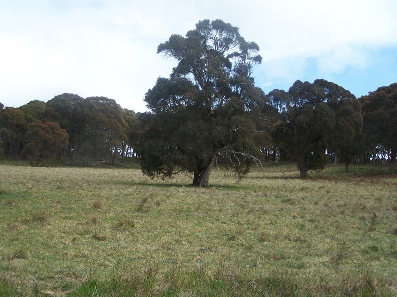Lot 2 Taralga Road, Taralga NSW 2580