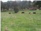 Lot 2 Taralga Road, Taralga NSW 2580