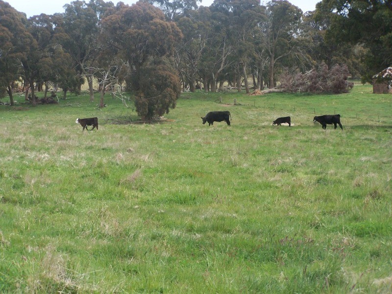 Lot 2 Taralga Road, Taralga NSW 2580
