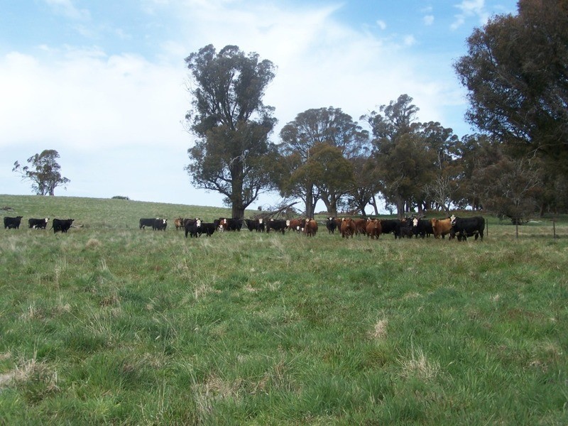 Lot 2 Taralga Road, Taralga NSW 2580