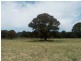 Lot 2 Taralga Road, Taralga NSW 2580