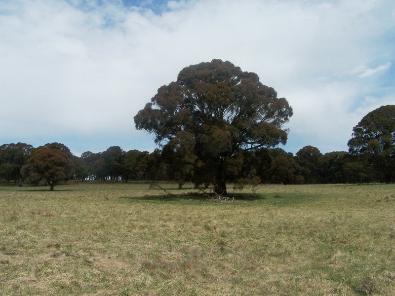 Lot 2 Taralga Road, Taralga NSW 2580