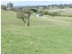 “Blue Stream”/Lot 2 Pejar  Road, Crookwell NSW 2583