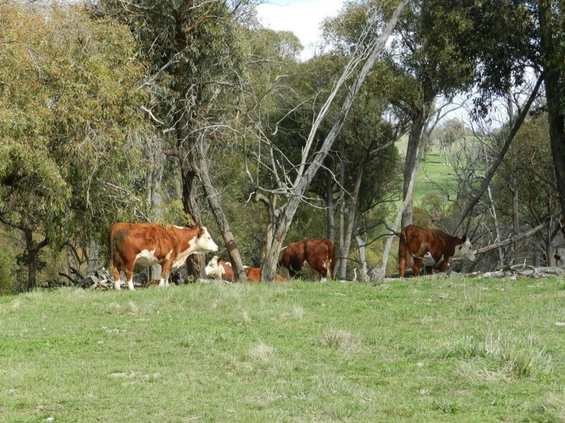 “Blue Stream”/Lot 2 Pejar  Road, Crookwell NSW 2583