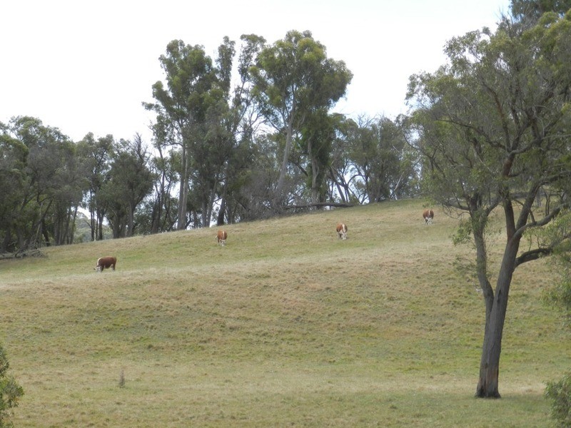 “Blue Stream”/Lot 2 Pejar  Road, Crookwell NSW 2583
