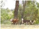 “Blue Stream”/Lot 2 Pejar  Road, Crookwell NSW 2583