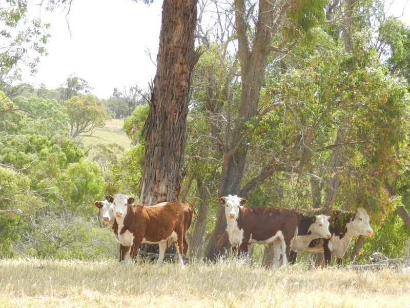 “Blue Stream”/Lot 2 Pejar  Road, Crookwell NSW 2583