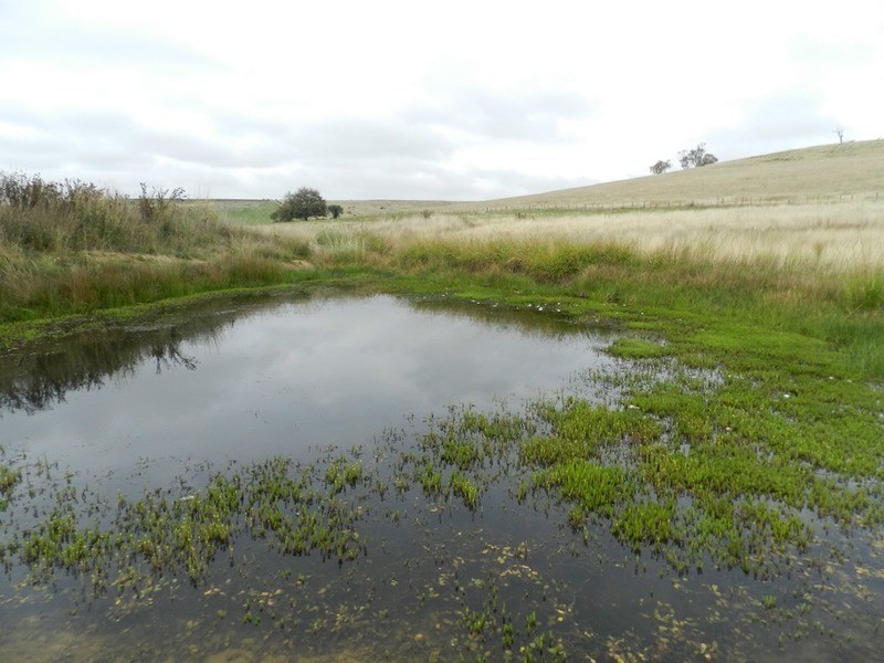 Lot 1  Woodhouselee  Road, Laggan NSW 2583