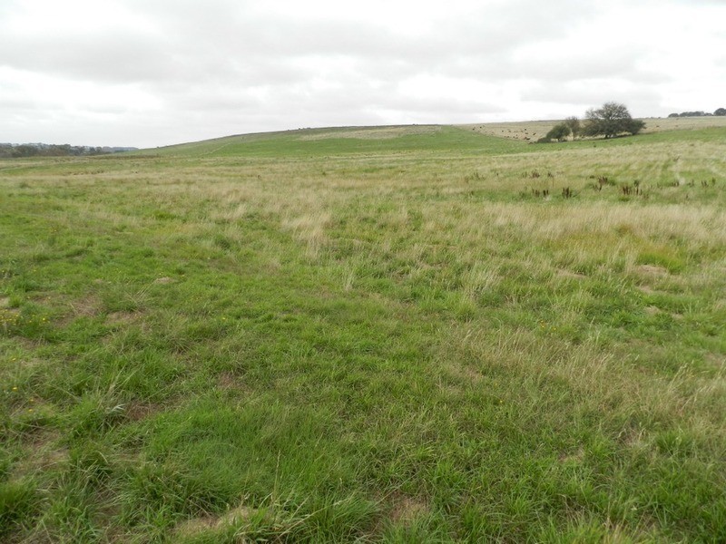 Lot 1  Woodhouselee  Road, Laggan NSW 2583