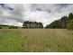54 Village  Road, Sutton Forest NSW 2577