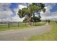 54 Village  Road, Sutton Forest NSW 2577