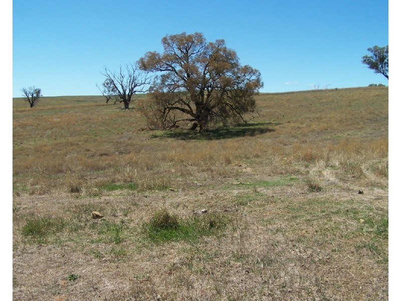 Lot 3 Julong Road, Binda NSW 2583