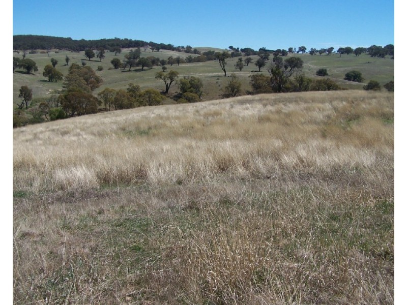 Lot 3 Julong Road, Binda NSW 2583