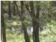 Lot 2 Wombeyan Caves Road, Taralga NSW 2580