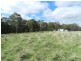 Lot 2 Wombeyan Caves Road, Taralga NSW 2580