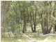 Lot 2 Wombeyan Caves Road, Taralga NSW 2580