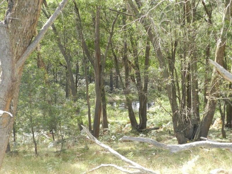 Lot 2 Wombeyan Caves Road, Taralga NSW 2580