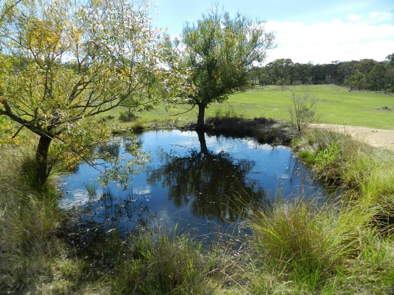 1262 Crookwell  Road, Kingsdale NSW 2580