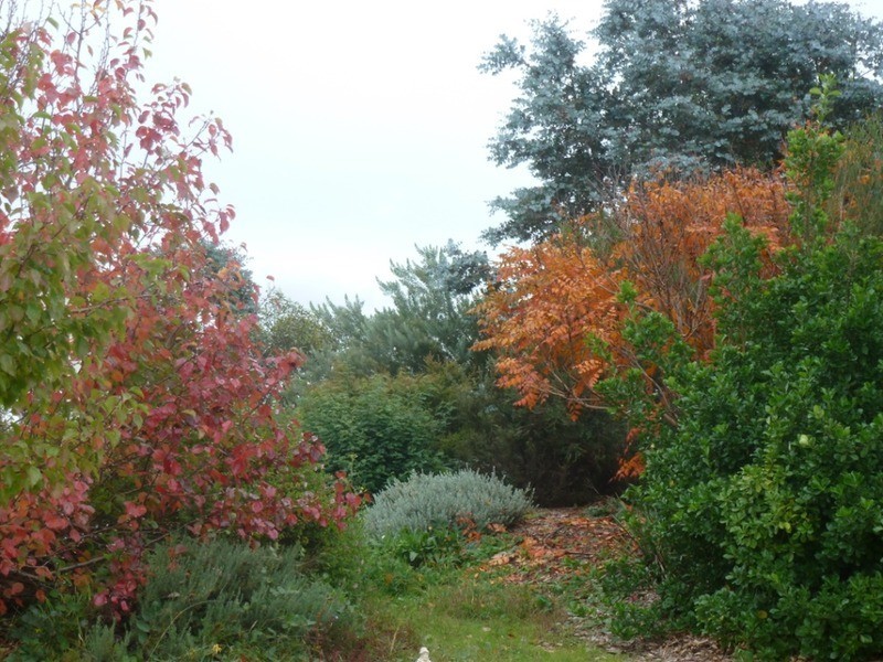 1262 Crookwell  Road, Kingsdale NSW 2580