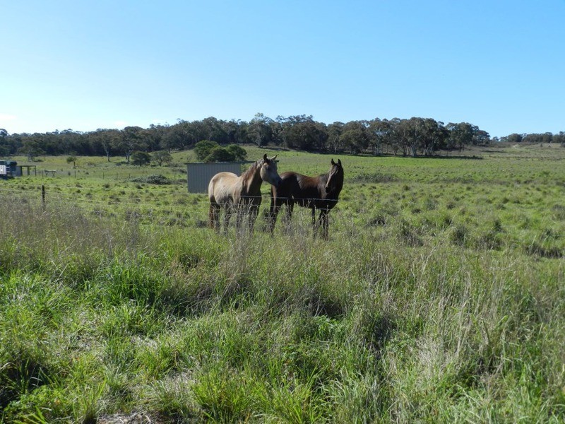 524 Oak Valley Road, Marulan NSW 2579