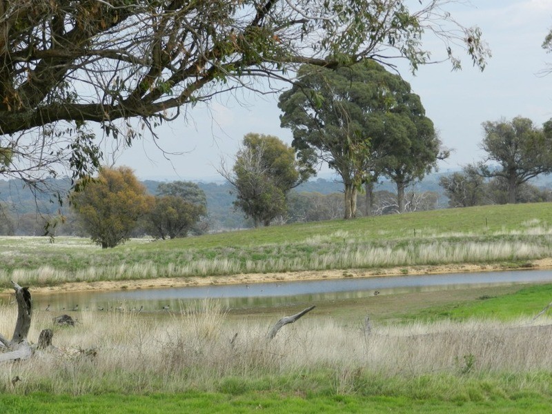 1391 Fullerton Road, Fullerton NSW 2583