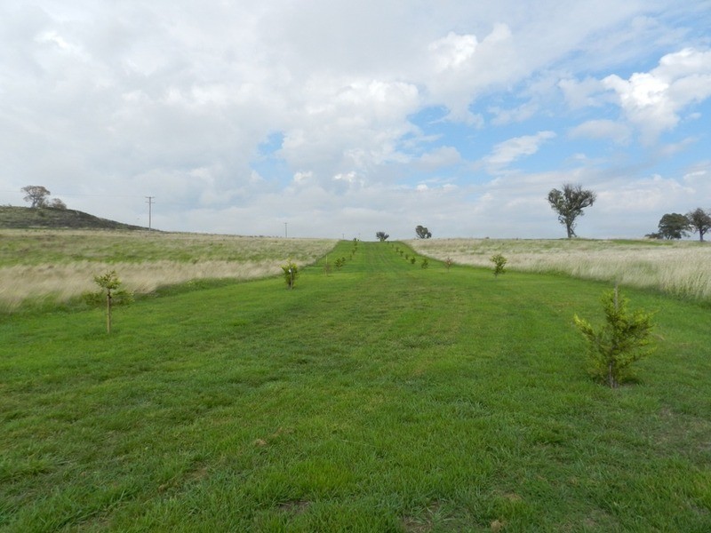 1391 Fullerton Road, Fullerton NSW 2583