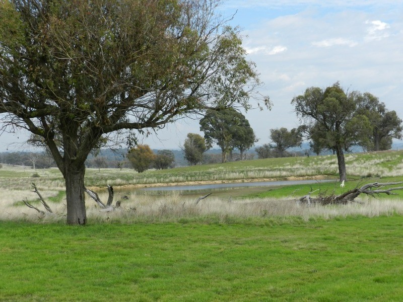 1391 Fullerton Road, Fullerton NSW 2583