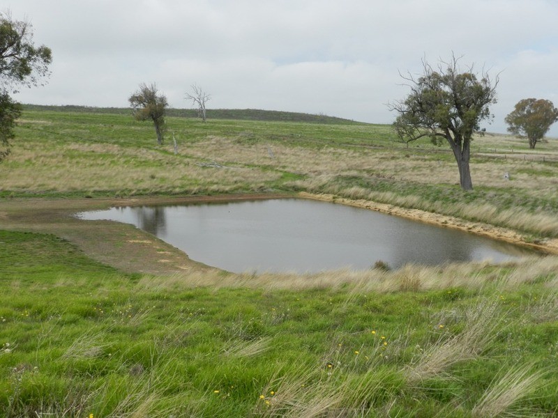 1391 Fullerton Road, Fullerton NSW 2583