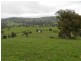 Lot  1 Mulgowrie Road, Binda NSW 2583