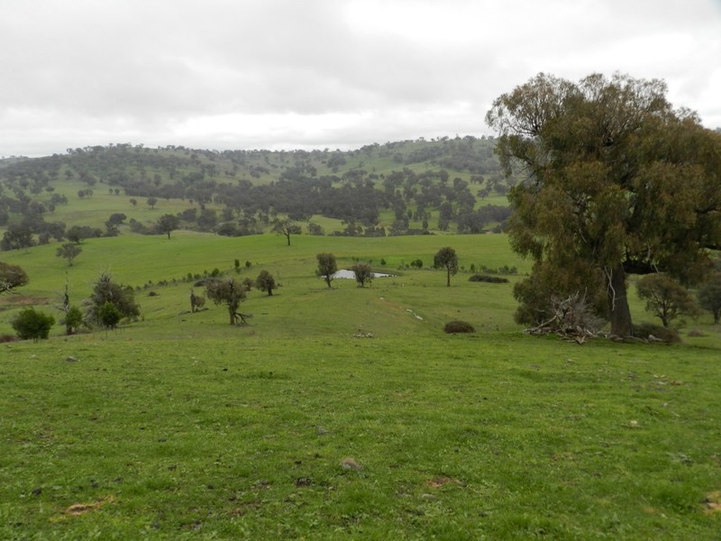 Lot  1 Mulgowrie Road, Binda NSW 2583
