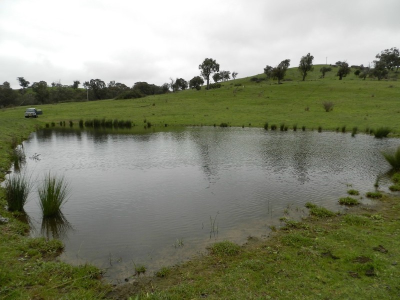 Lot  1 Mulgowrie Road, Binda NSW 2583