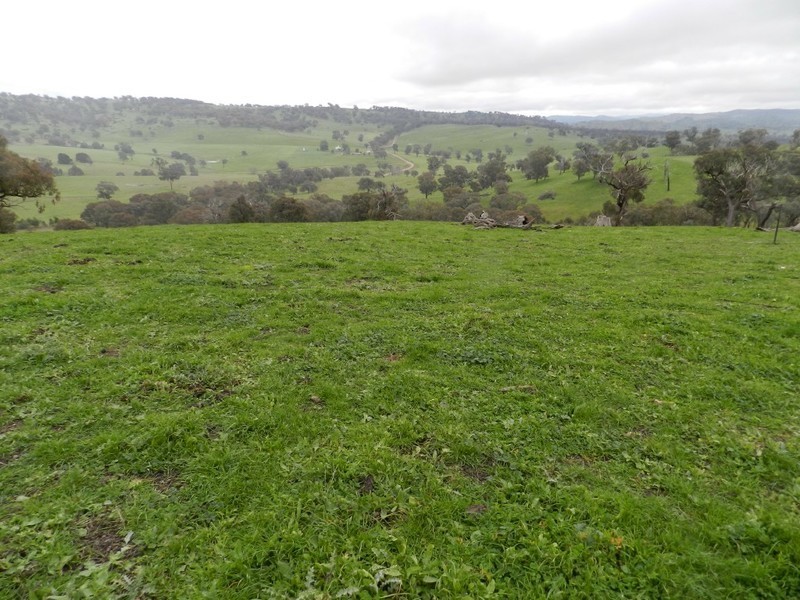 Lot  1 Mulgowrie Road, Binda NSW 2583