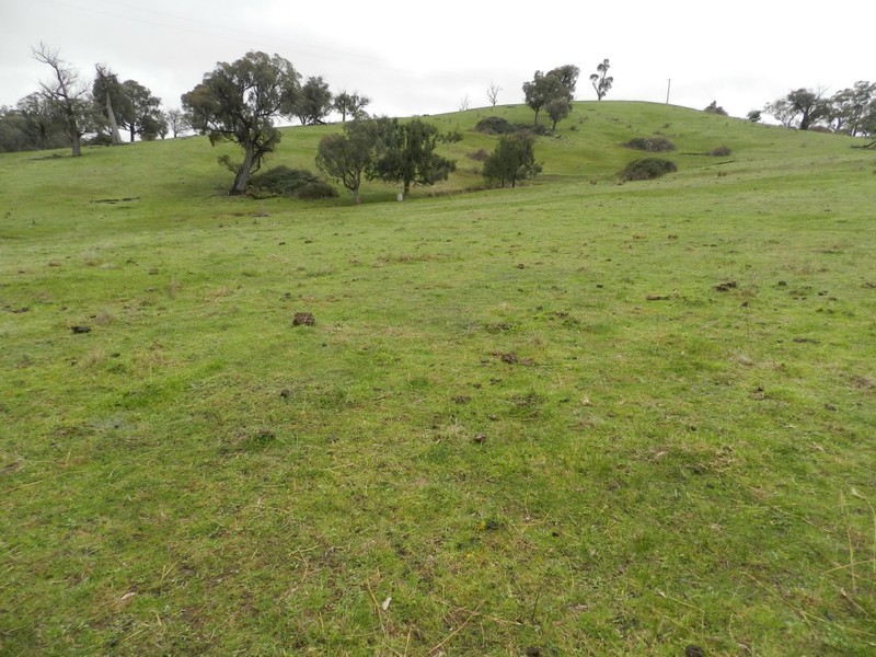 Lot  1 Mulgowrie Road, Binda NSW 2583