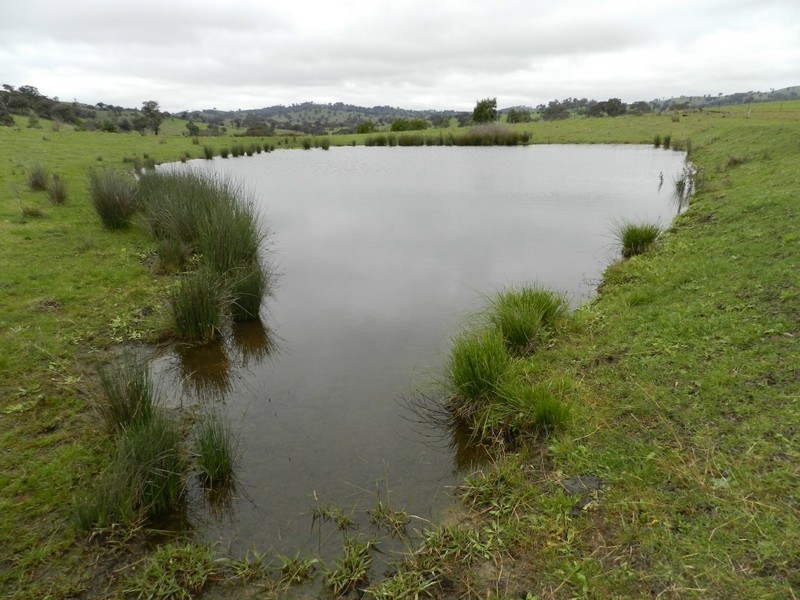 Lot  1 Mulgowrie Road, Binda NSW 2583