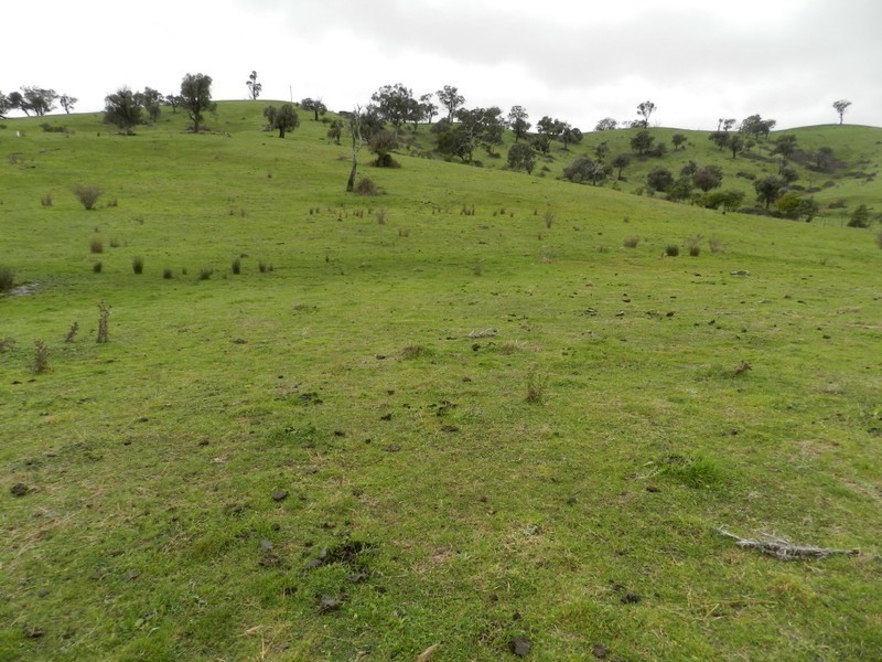 Lot  1 Mulgowrie Road, Binda NSW 2583