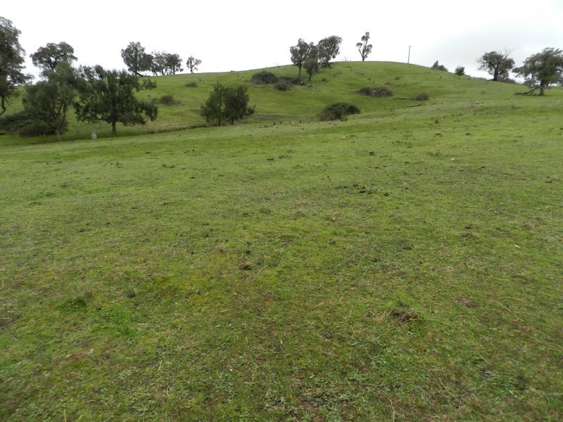 Lot  1 Mulgowrie Road, Binda NSW 2583