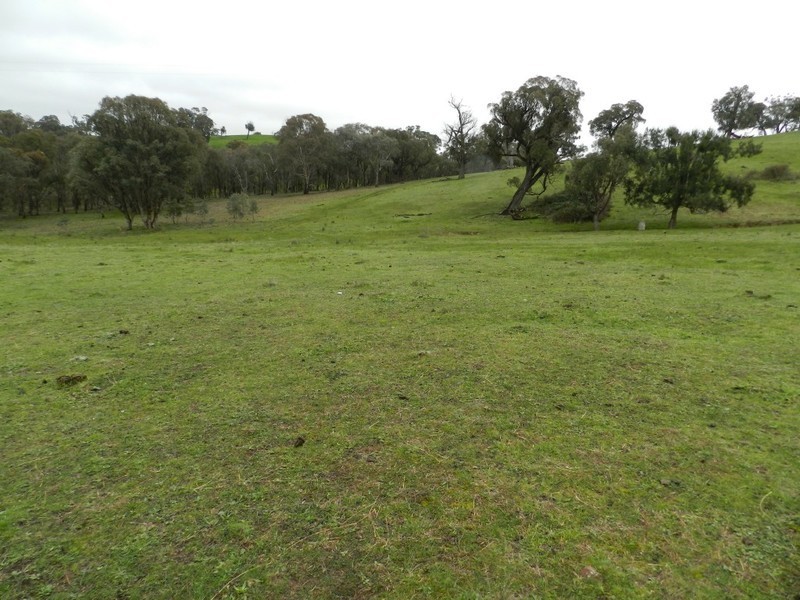 Lot  1 Mulgowrie Road, Binda NSW 2583