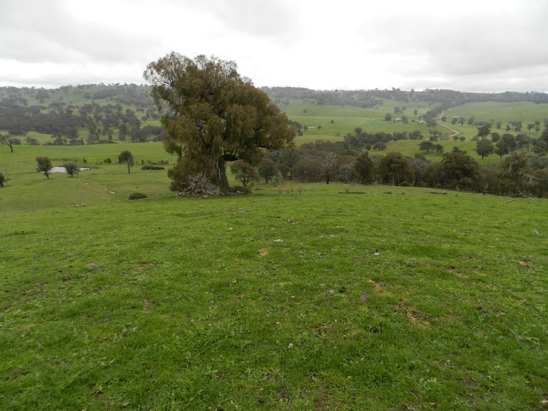 Lot  1 Mulgowrie Road, Binda NSW 2583