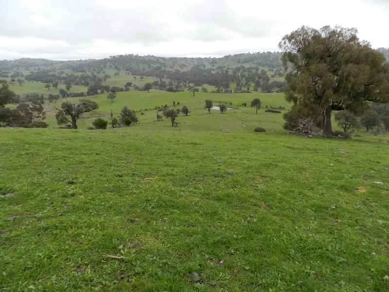 Lot  1 Mulgowrie Road, Binda NSW 2583