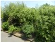 1/12. Major Drive, Goulburn NSW 2580