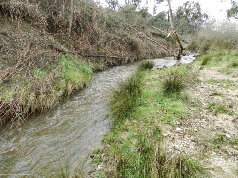 Lot 2 Mulgowrie Road, Binda NSW 2583