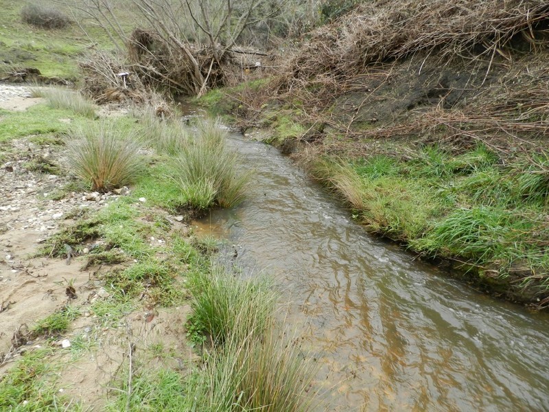 Lot 2 Mulgowrie Road, Binda NSW 2583