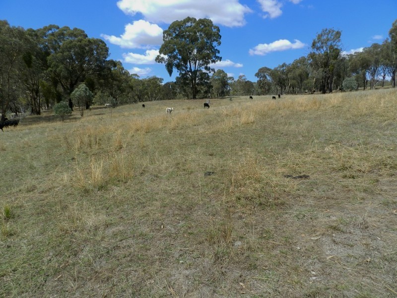 Lot 2 Mulgowrie Road, Binda NSW 2583