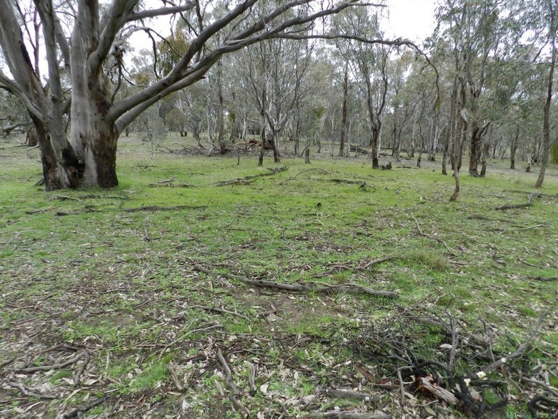Lot 2 Mulgowrie Road, Binda NSW 2583