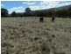 Lot 2 Mulgowrie Road, Binda NSW 2583