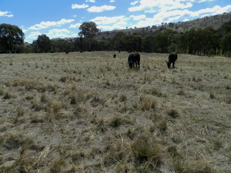 Lot 2 Mulgowrie Road, Binda NSW 2583