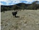 Lot 2 Mulgowrie Road, Binda NSW 2583