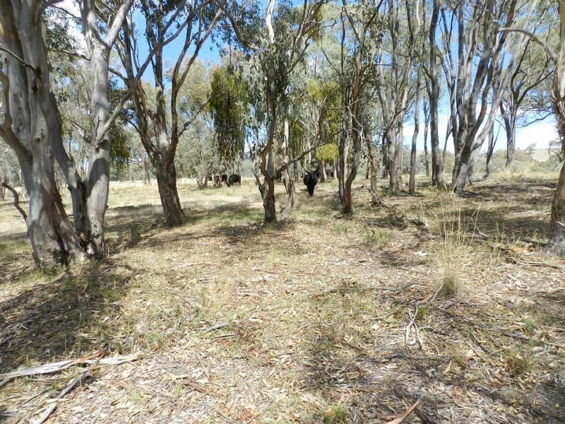Lot 2 Mulgowrie Road, Binda NSW 2583
